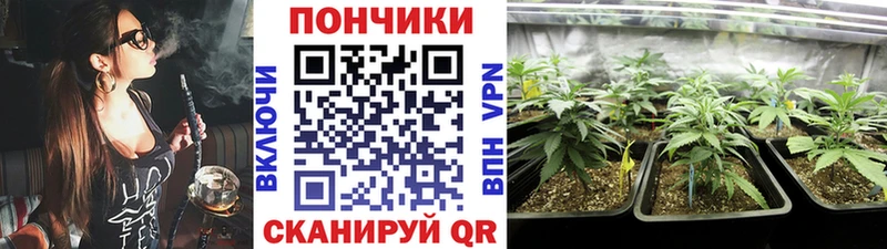 Канабис индика  Озёры 